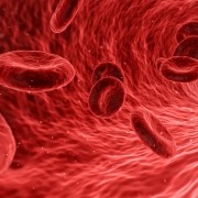 Rode Bloedcellen