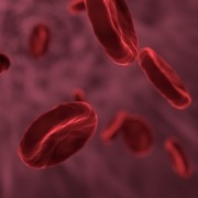Rode Bloodcellen